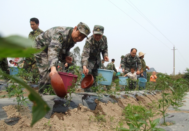 广西预备役师连日战斗抗旱一线(图"陆战队中校"的军事博客 红豆