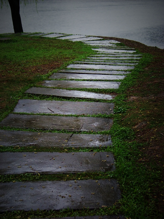 雨中的公园小路